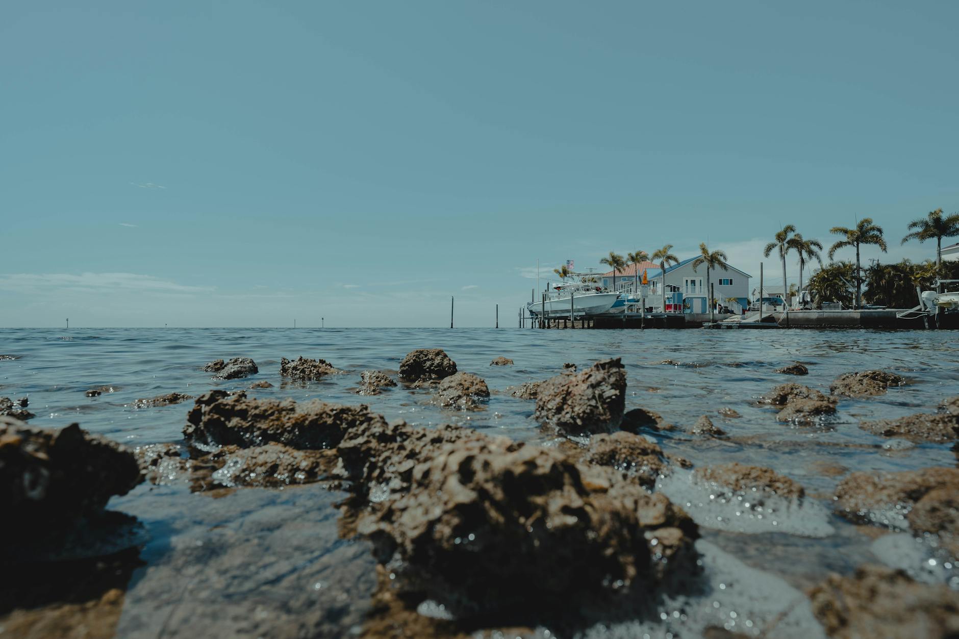 Tide Pool Exploration on Florida’s Gulf Coast With Kids (What to Look For and How to Make It a Real Nature Study)