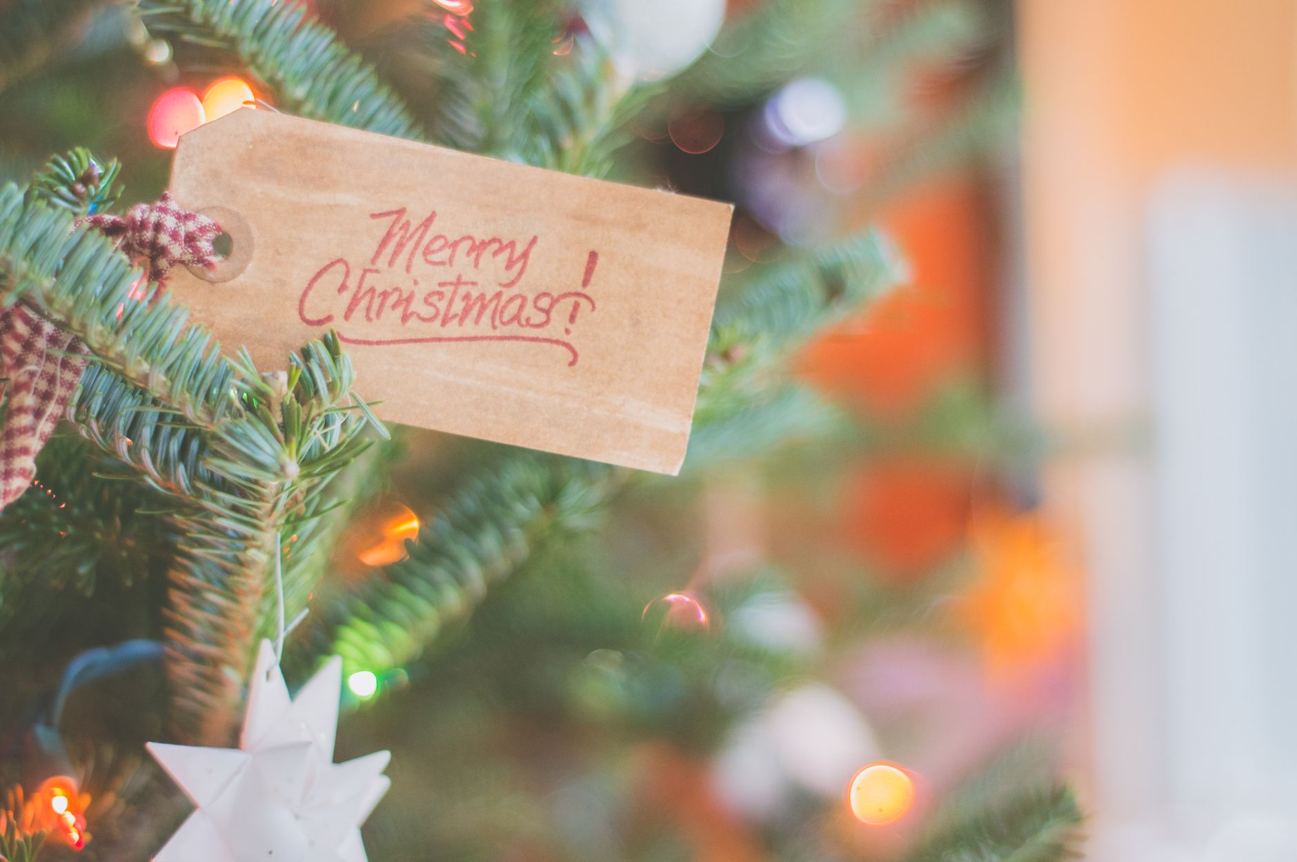 Meaningful Christmas Traditions for Homeschool Families (That Are Actually Low-Stress)