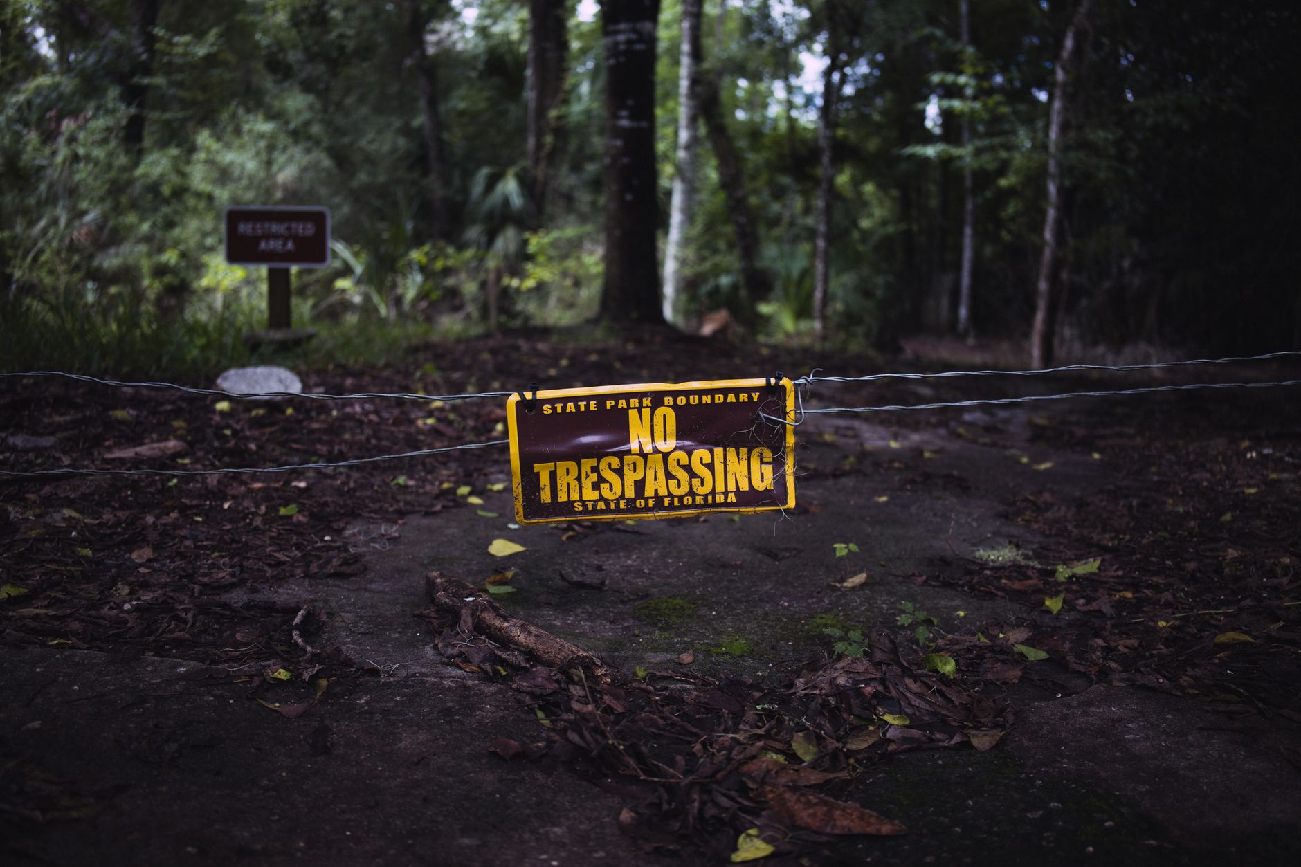 Florida Unschooling Laws: What Families Need to Know Before You Start