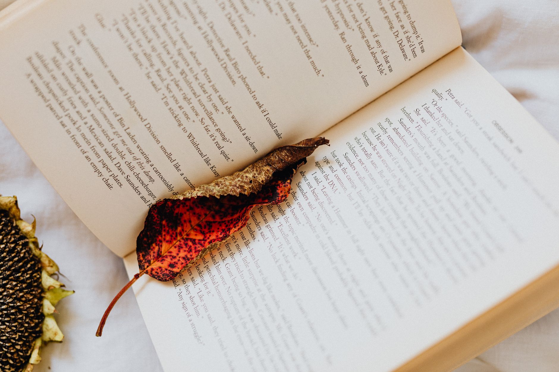 Homeschool Fall Unit Study Ideas: Nature-Based Themes Your Kids Will Actually Love