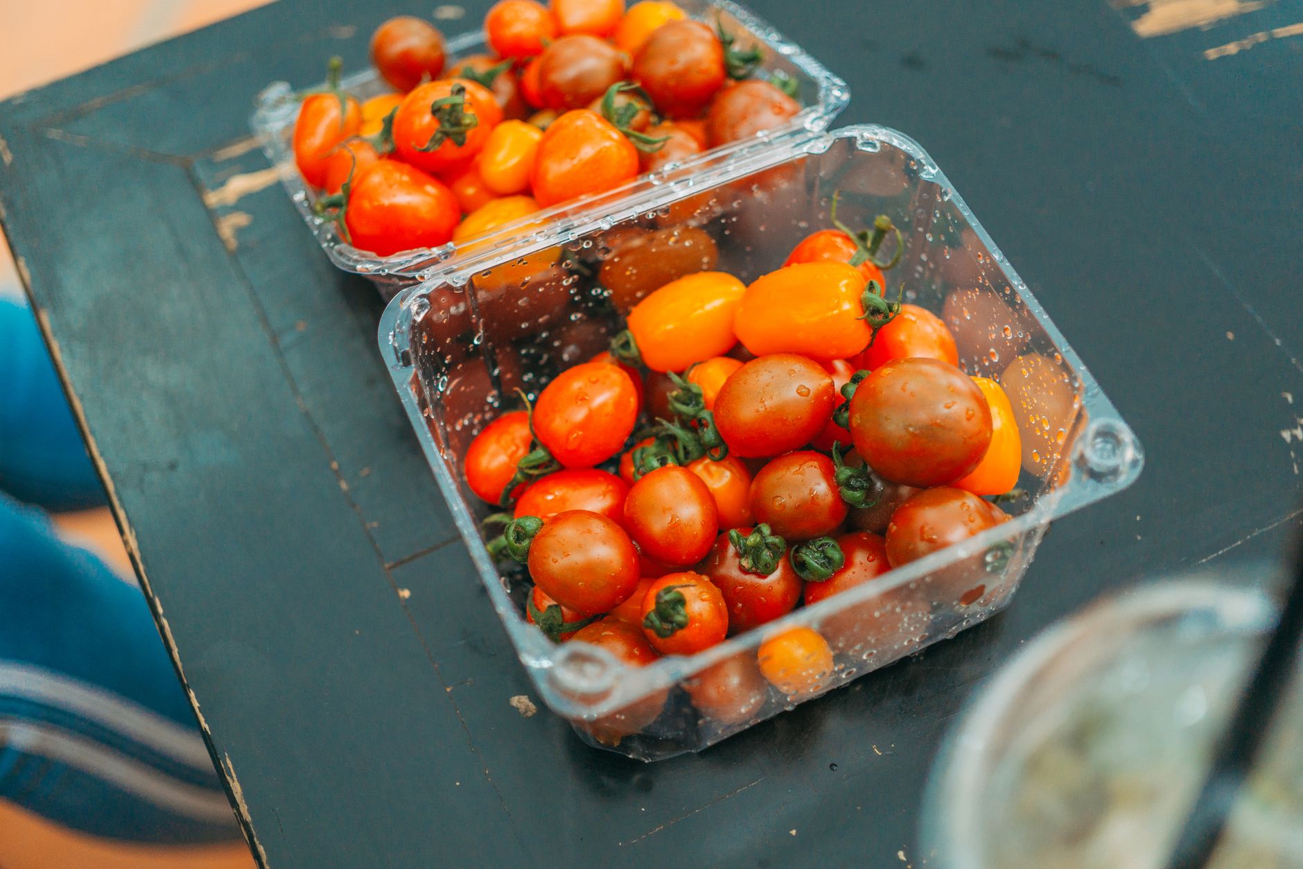 Best Container Vegetable Garden for Florida Summer Heat (What Actually Grows When It’s 95 Degrees Outside)