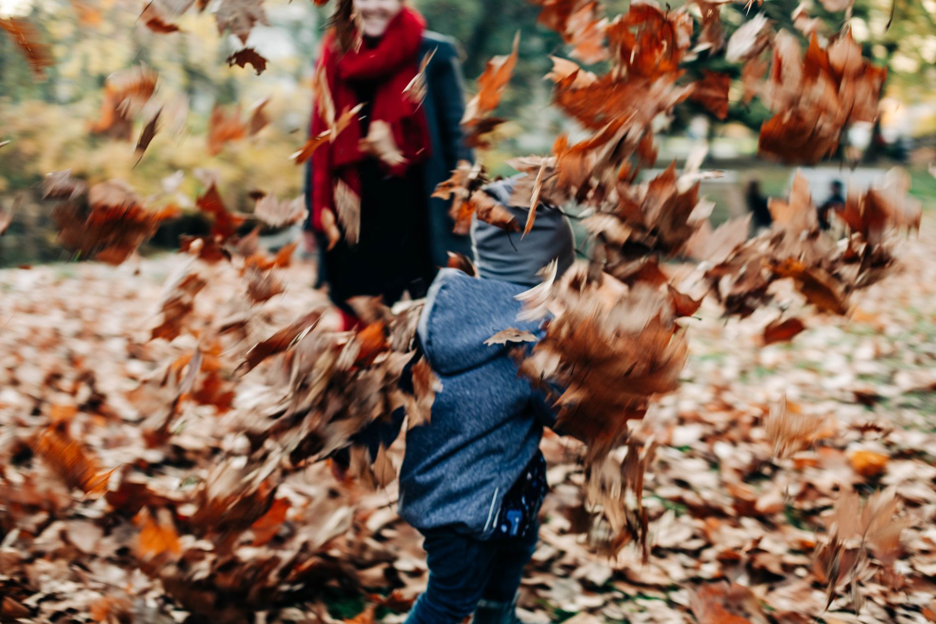 Seasonal Living Ideas for Families: Simple Ways to Celebrate Every Season All Year Long